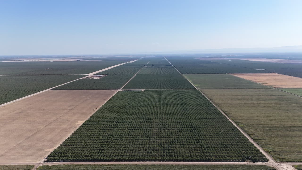 Wasco Open Farmland + Almond Orchard_945 Acres
