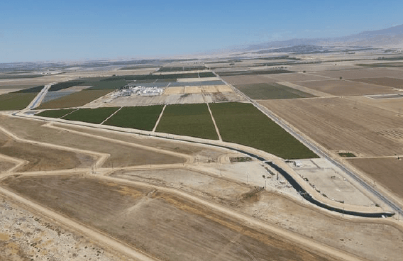 Ranch 21 – Table Grape Vineyard, 111.66± Acres