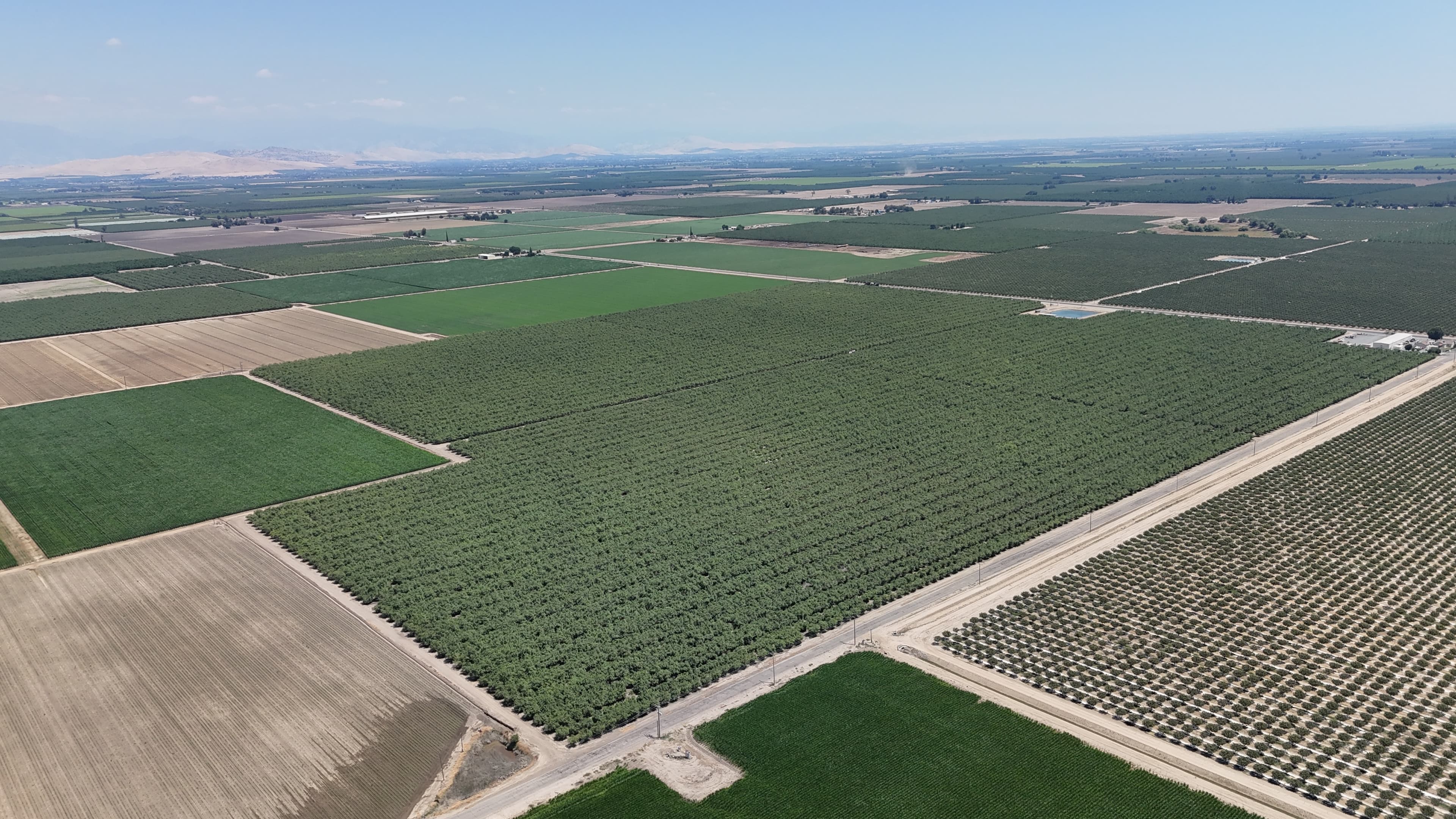 Lower Tule ID_Almond Orchard_167.6 Acres