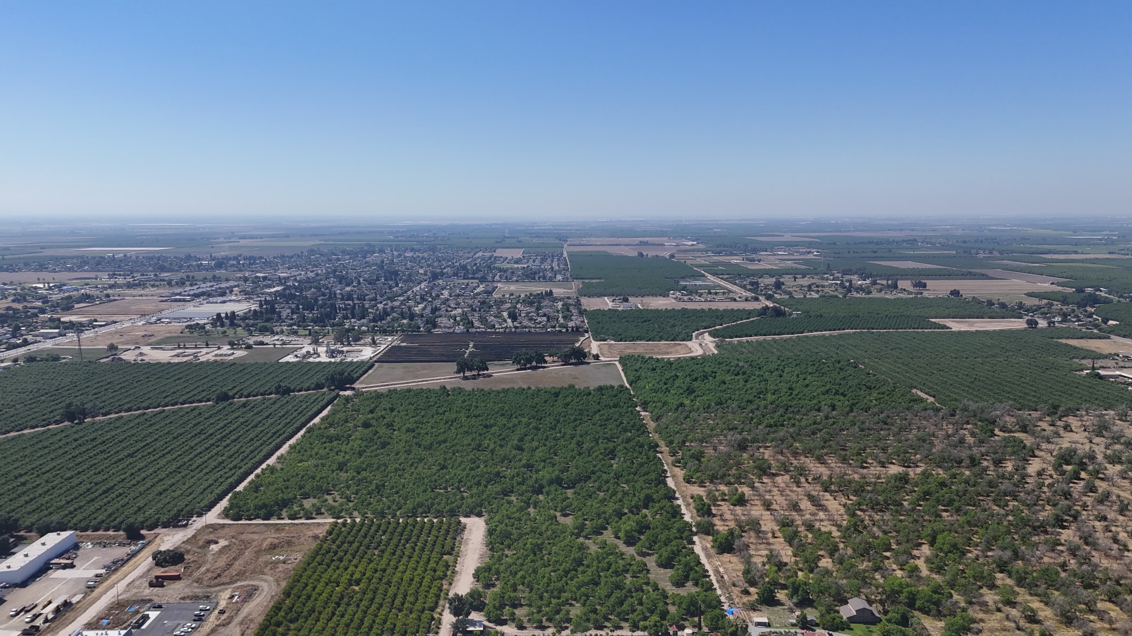 Farmersville Walnut Orchard